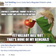 Image for article titled Curt Schilling Shares A Truly Transcendent Meme On Facebook